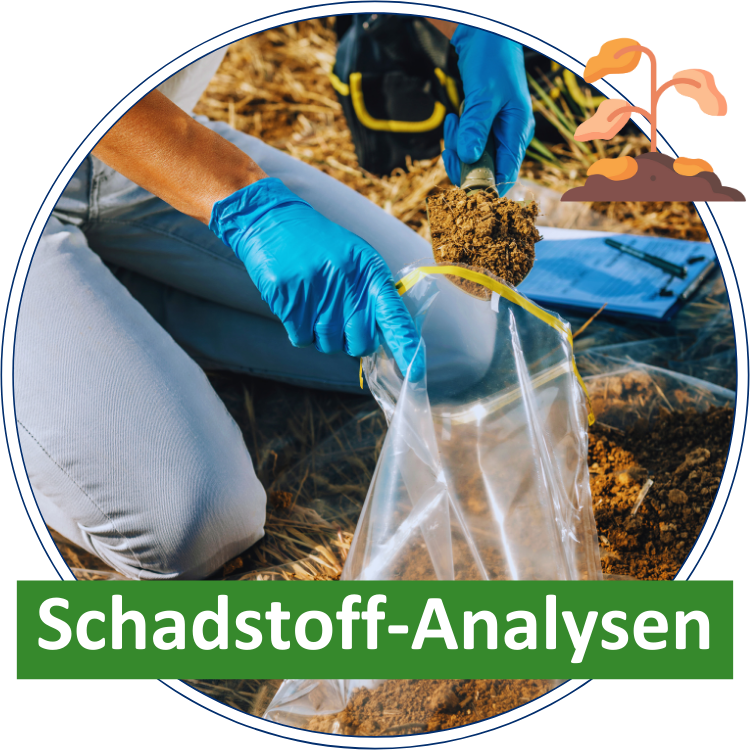 Zu unseren Schadstoff-Analysen