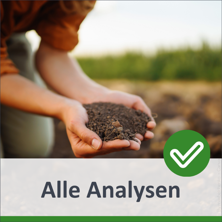 Zu allen Analysen