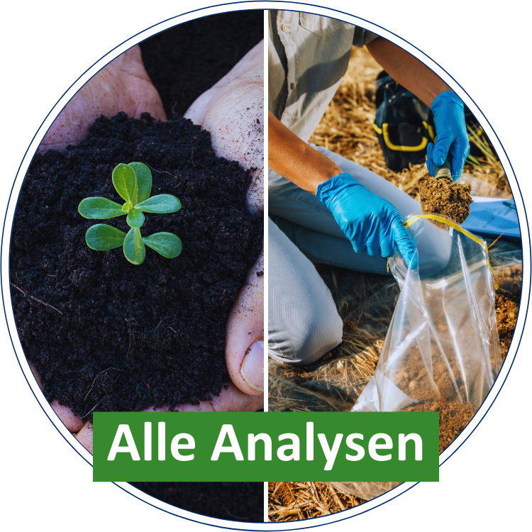 Zu allen Analysen