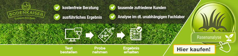 Rasen Bodenanalyse