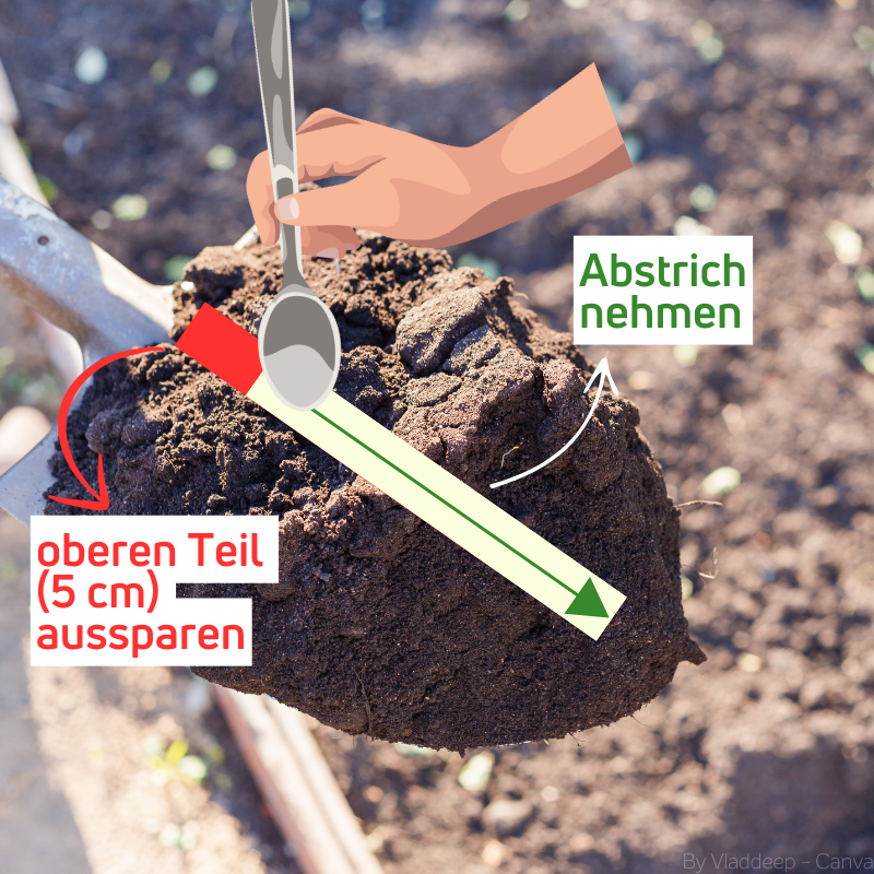 Sparen sie die oberen 5 cm aus und nehmen Sie dann einen Abstrich des restlichen Aushubs.