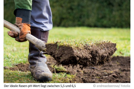 Ihr Bodentest liefert wichtige Hinweise zur Bodenqualität Ihr Bodentest liefert wichtige Hinweise zur Bodenqualität