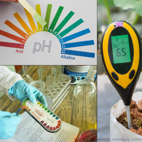 Die drei Methoden, den pH-Wert zu messen: Eine Laboranalyse, ein pH-Messgerät und eine Laboranalyse. 