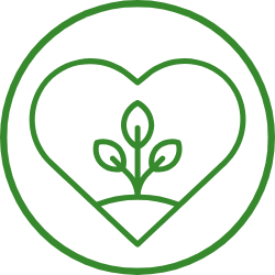 Herz-Icon