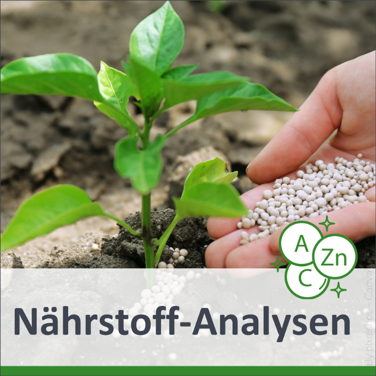 Nährstoffanalysen